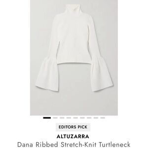 Altuzarra turtleneck sweater
